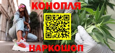 гидропоника Кингисепп