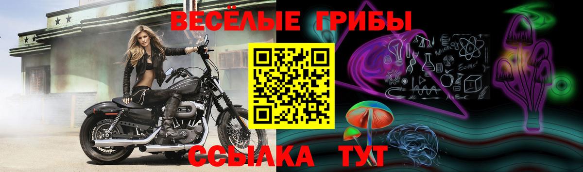 Галлюциногенные грибы мицелий  Вход с VPN  Сорочинск 