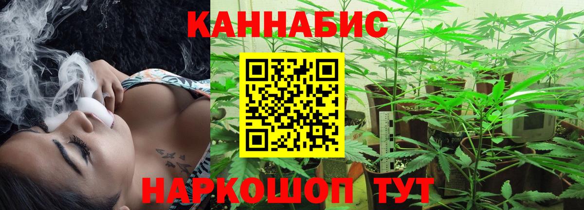Бошки Шишки марихуана Сорочинск